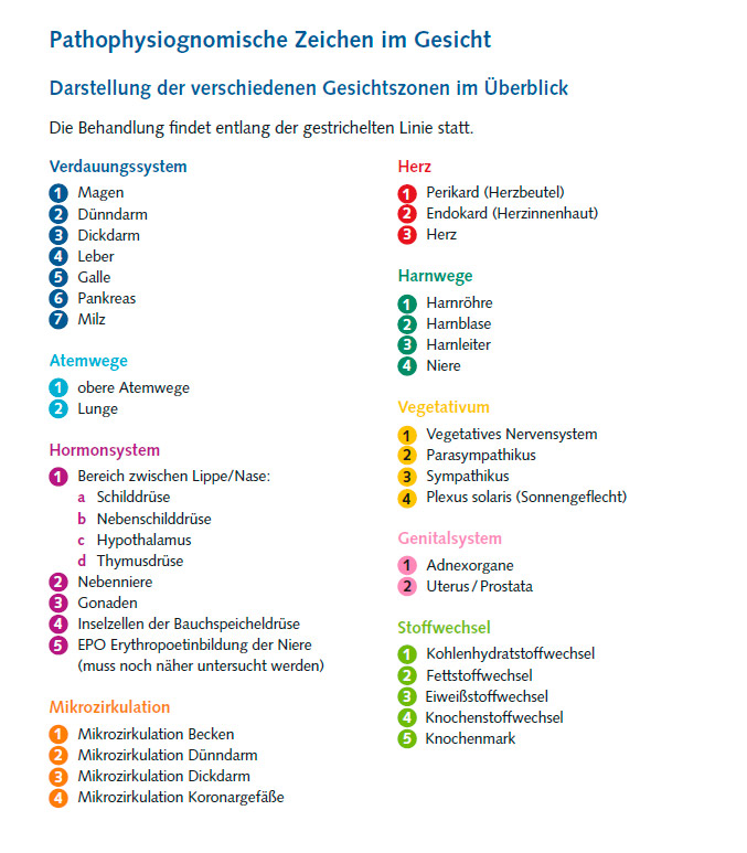 Bild von Erläuterungen zur den Zonen der Gesichtsdiagnose
